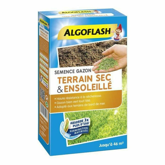 Seeds Algoflash SEMSOL1-0