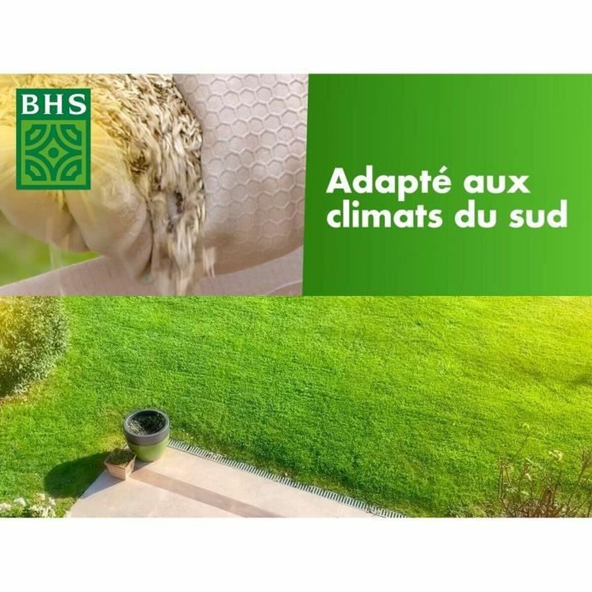 Seeds BHS 10 kg-1