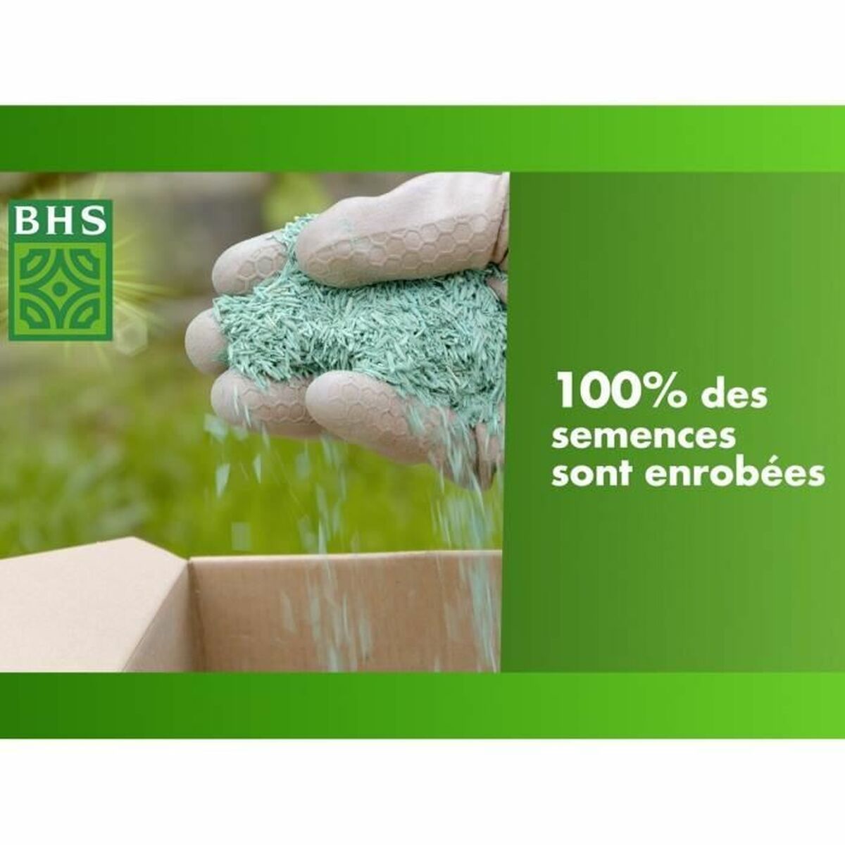 Seeds BHS 1 kg-4