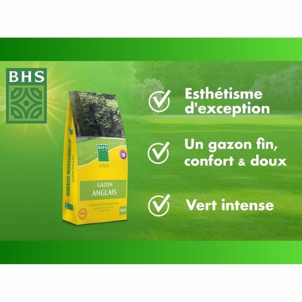 Seeds BHS 5 kg-2