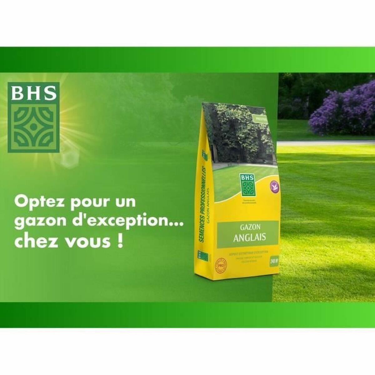 Seeds BHS 5 kg-1