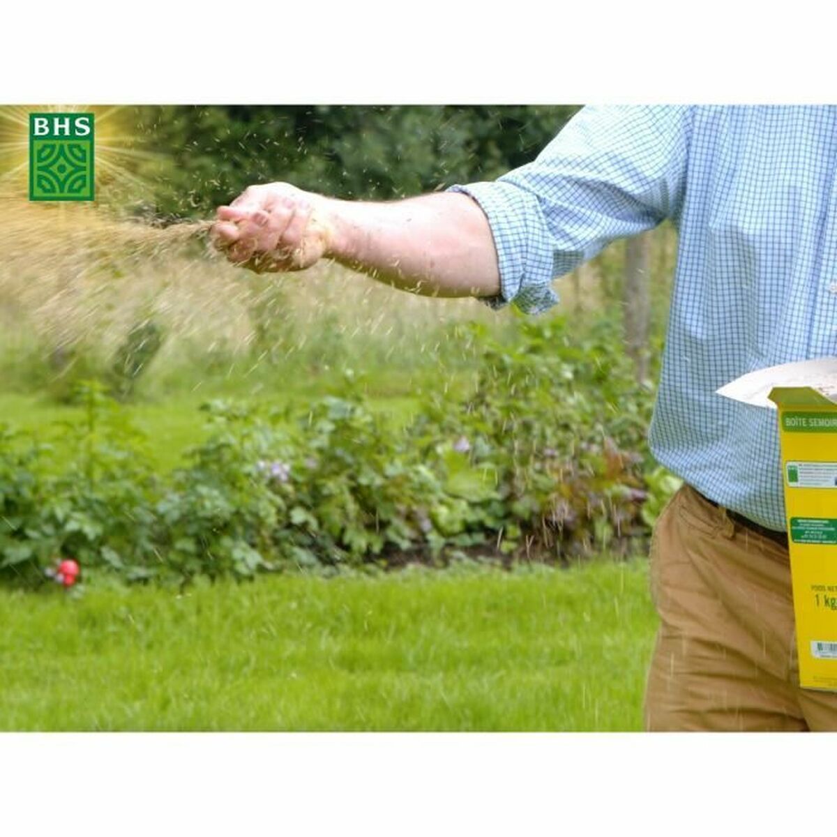 Seeds BHS 1 kg-2