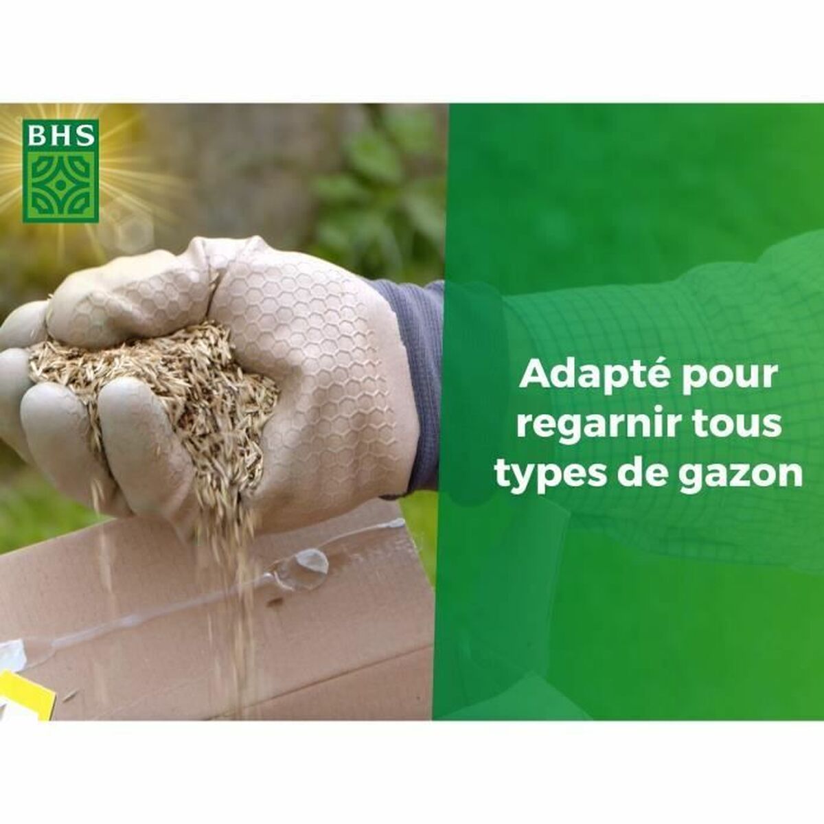 Seeds BHS 1 kg-4