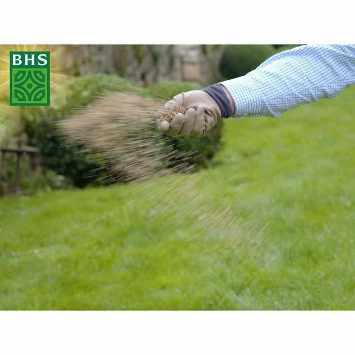 Seeds BHS 1 kg-3