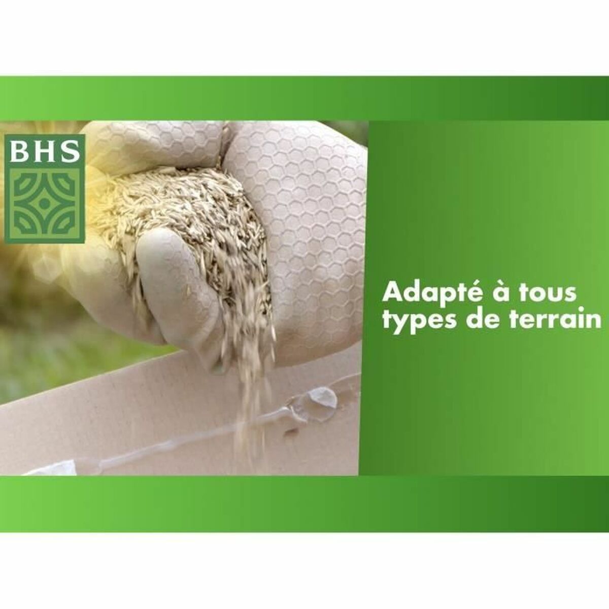 Seeds BHS 1 kg-2