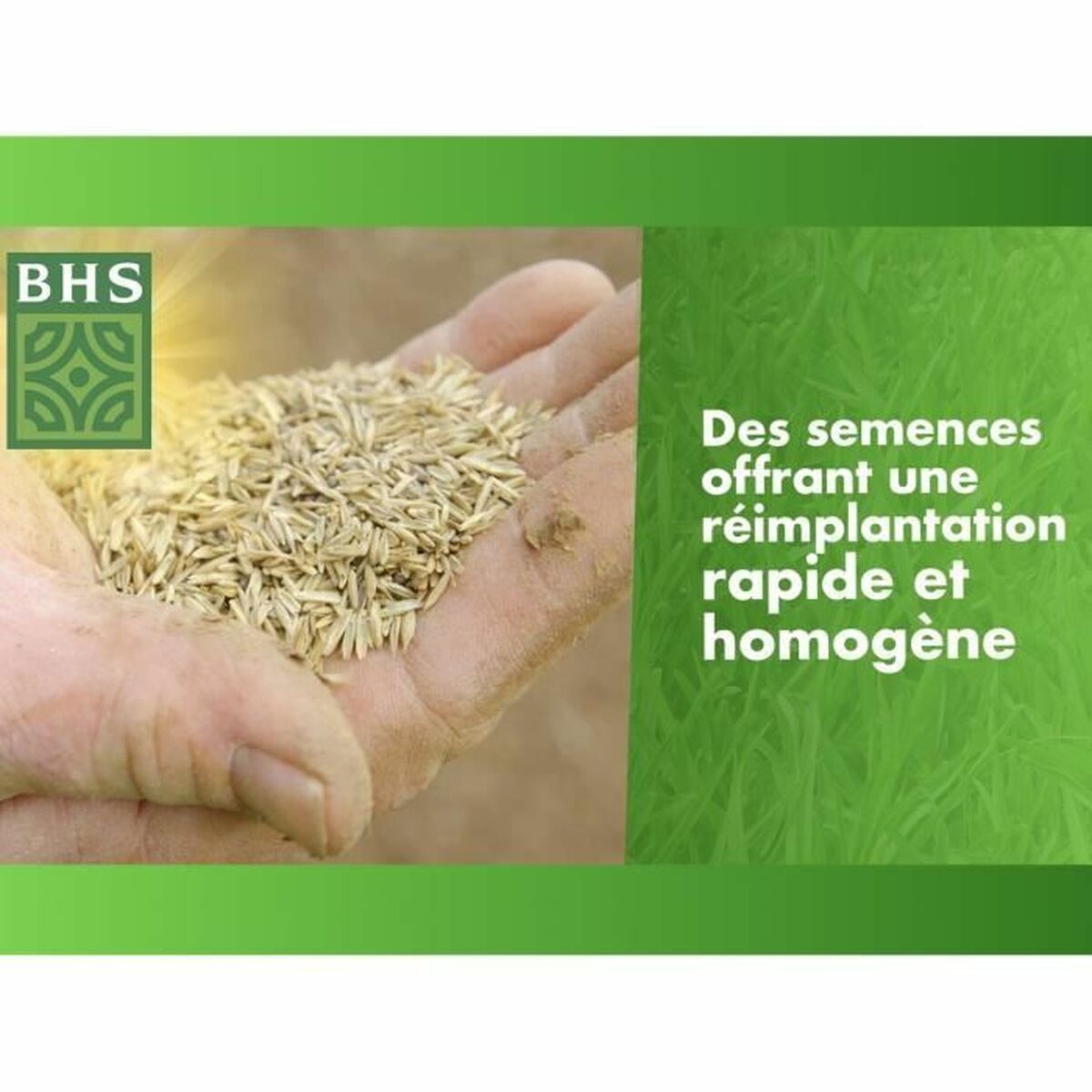 Seeds BHS 1 kg-1