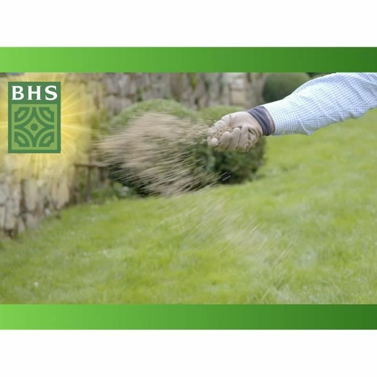 Seeds BHS-1