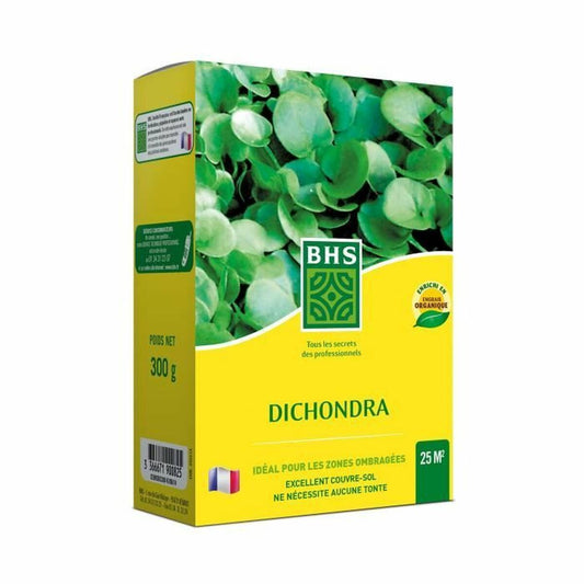 Seeds BHS Dichondra-0