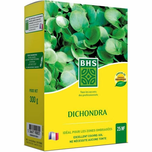 Seeds BHS Dichondra-0