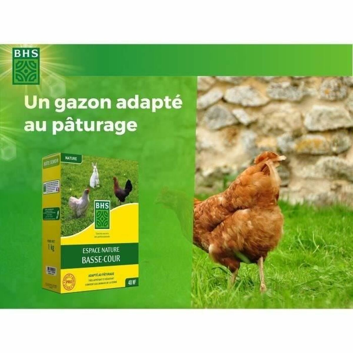 Seeds BHS 1 kg-4