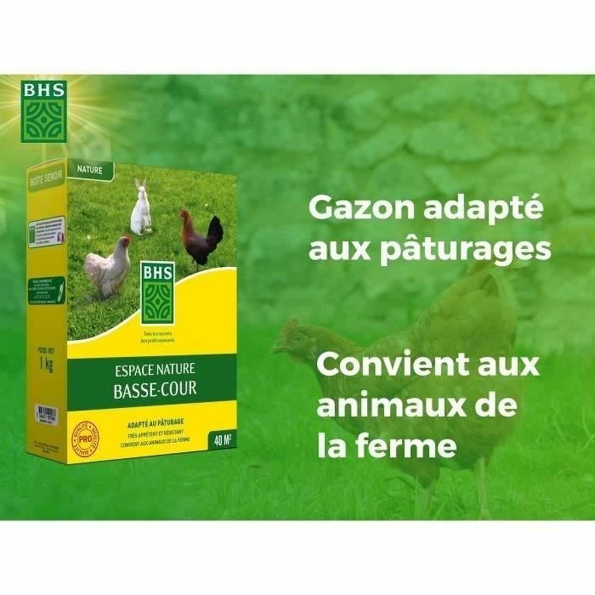 Seeds BHS 1 kg-3