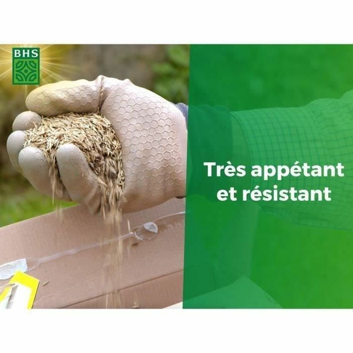 Seeds BHS 1 kg-1