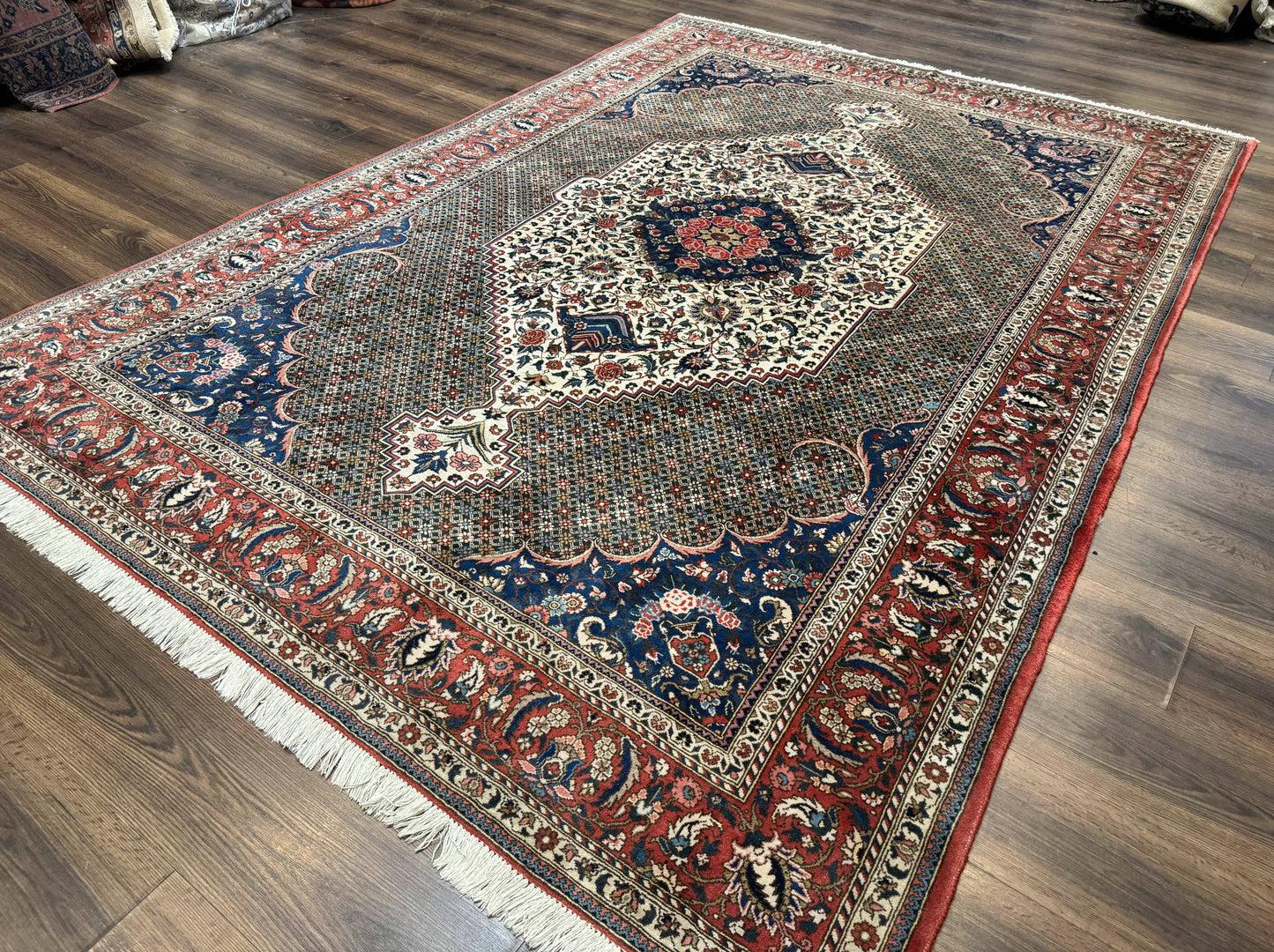 Persian Rug 7x10, Bakhtiari Saman Rug, Unique Design and Colors, Ivory Red Blue, Large Tribal Rug-1