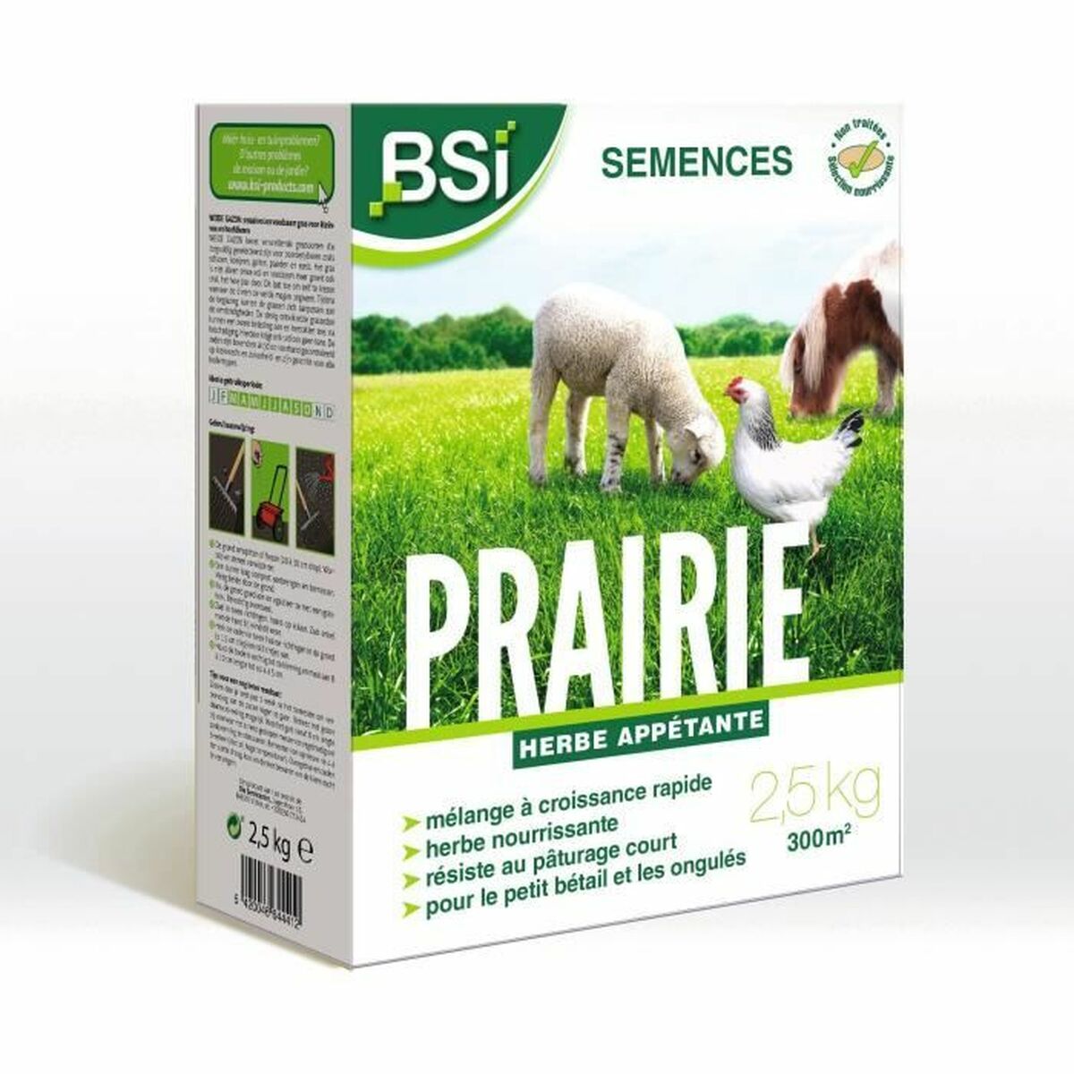 Seeds BSI-0