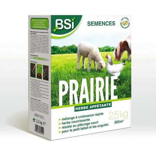 Seeds BSI-0