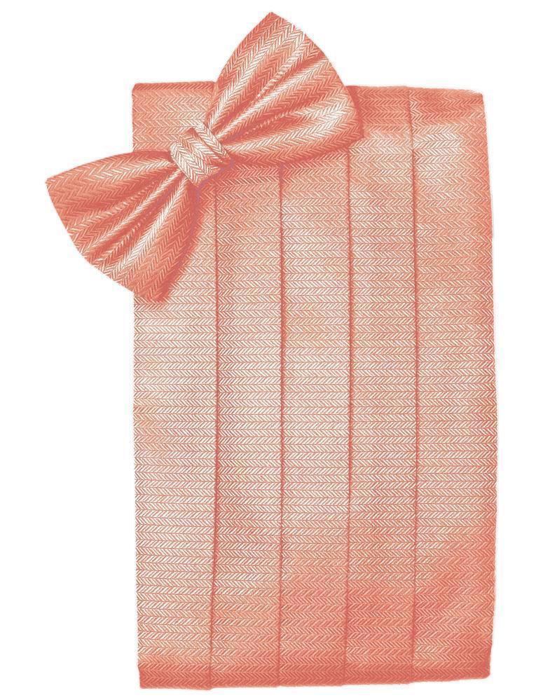 Set Herringbone Cummerbund & Bow Tie-16