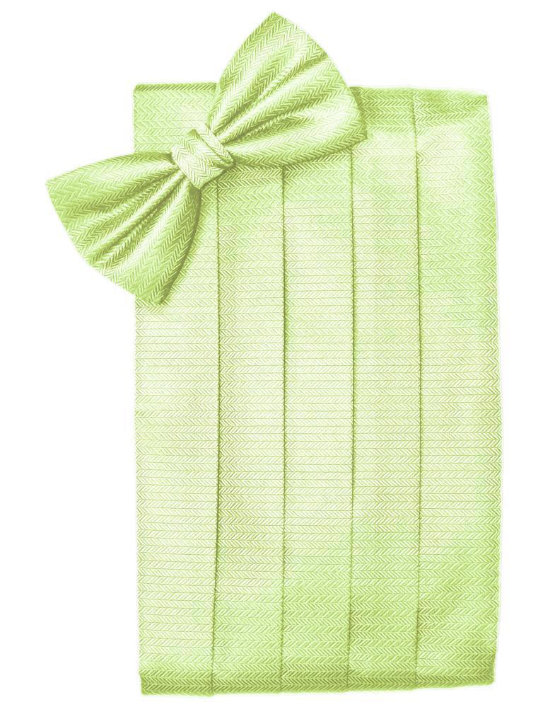 Set Herringbone Cummerbund & Bow Tie-23