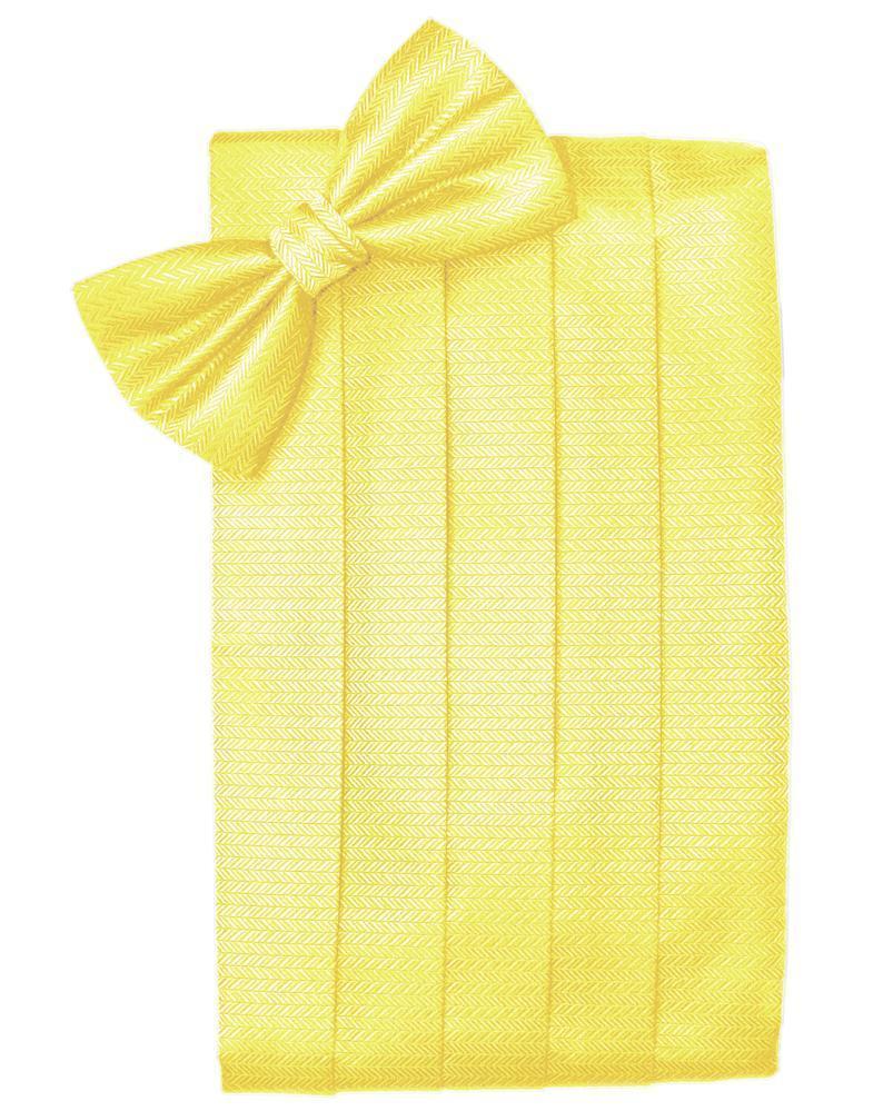 Set Herringbone Cummerbund & Bow Tie-33