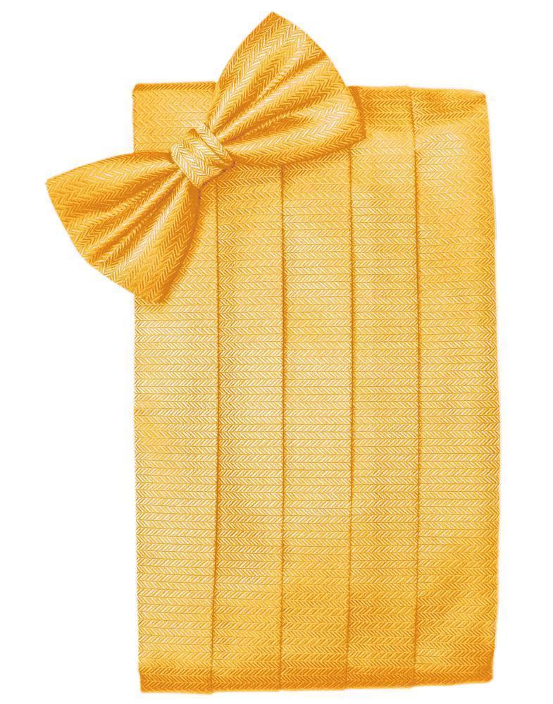 Set Herringbone Cummerbund & Bow Tie-36
