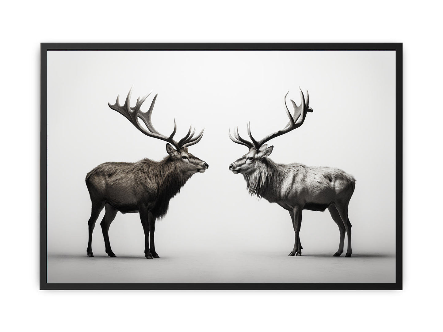 Eye To Eye Stags Canvas Art Print
