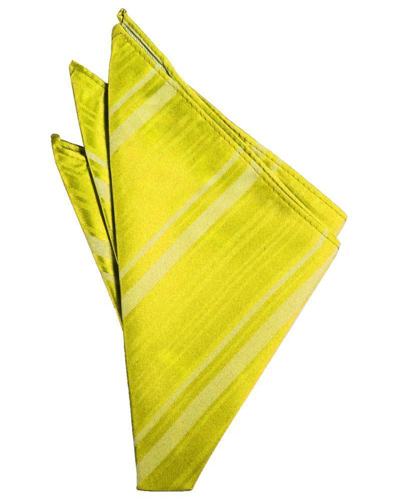 Striped Satin Pocket Square-31