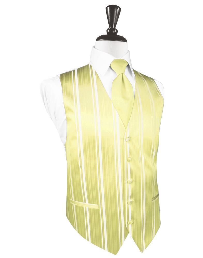 Striped Satin Tuxedo Vest 5-2