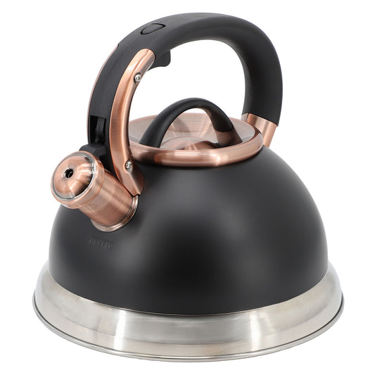 Mr. Coffee Flintshire 2.2 Quart Stainless Steel Whistling Tea Kettle in Black