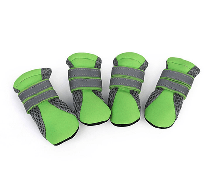 Luminous Comfort Stride: The Ultimate Dog Walking Shoes
