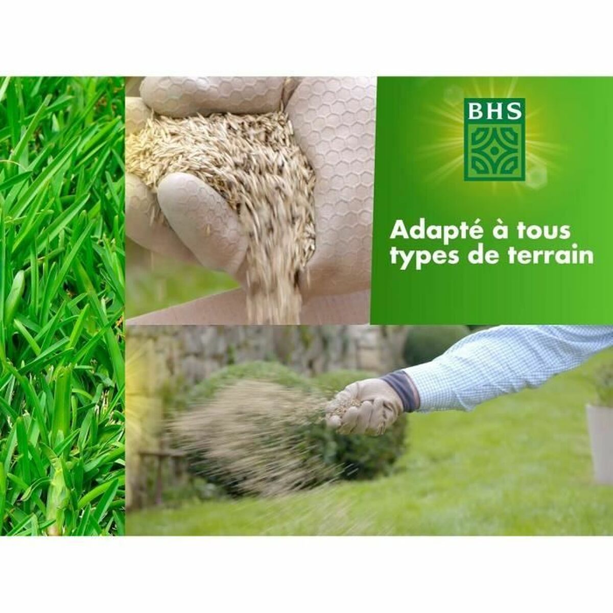 Seeds BHS 1 kg-1