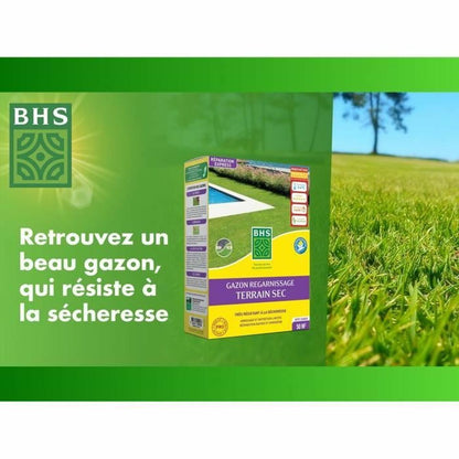 Seeds BHS 1 kg-5