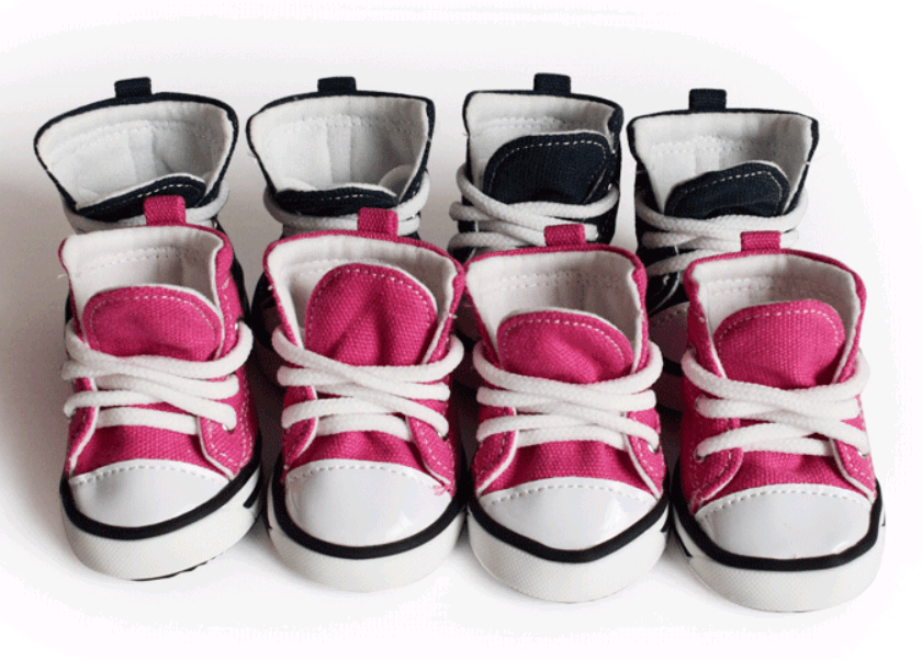 Stylish Denim Canvas Dog Shoes: Trendy, Waterproof, And Non-Slip