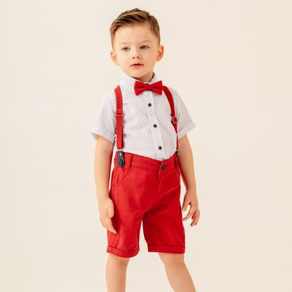 James Classic Formal Cotton Set-3