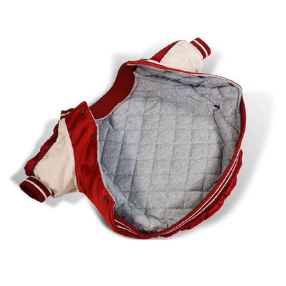 Stylish Dog Shiny Cotton Jacket - Two-Legged Clothes