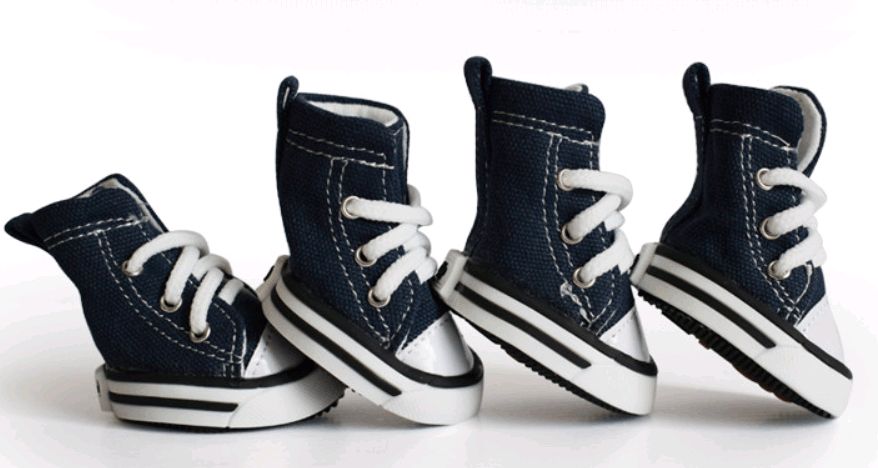 Stylish Denim Canvas Dog Shoes: Trendy, Waterproof, And Non-Slip