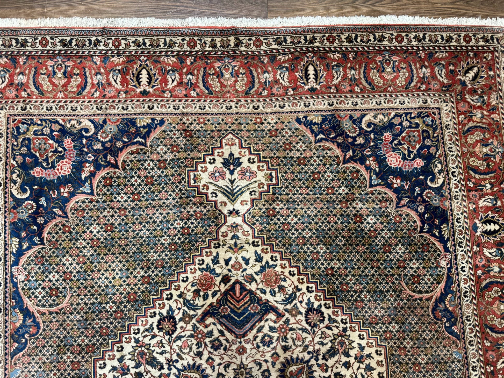 Persian Rug 7x10, Bakhtiari Saman Rug, Unique Design and Colors, Ivory Red Blue, Large Tribal Rug-2