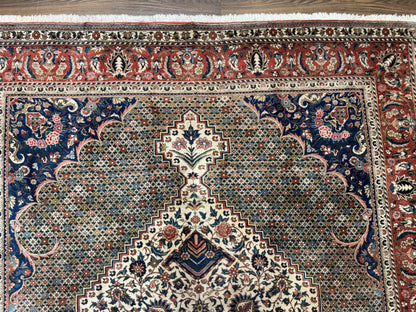 Persian Rug 7x10, Bakhtiari Saman Rug, Unique Design and Colors, Ivory Red Blue, Large Tribal Rug-2