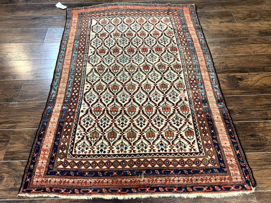 Antique Caucasian Rug 4x6, Hand Knotted Wool Carpet, Shirvan Rug-0