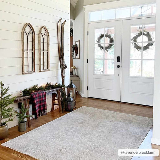 Albuquerque Area Rug-0