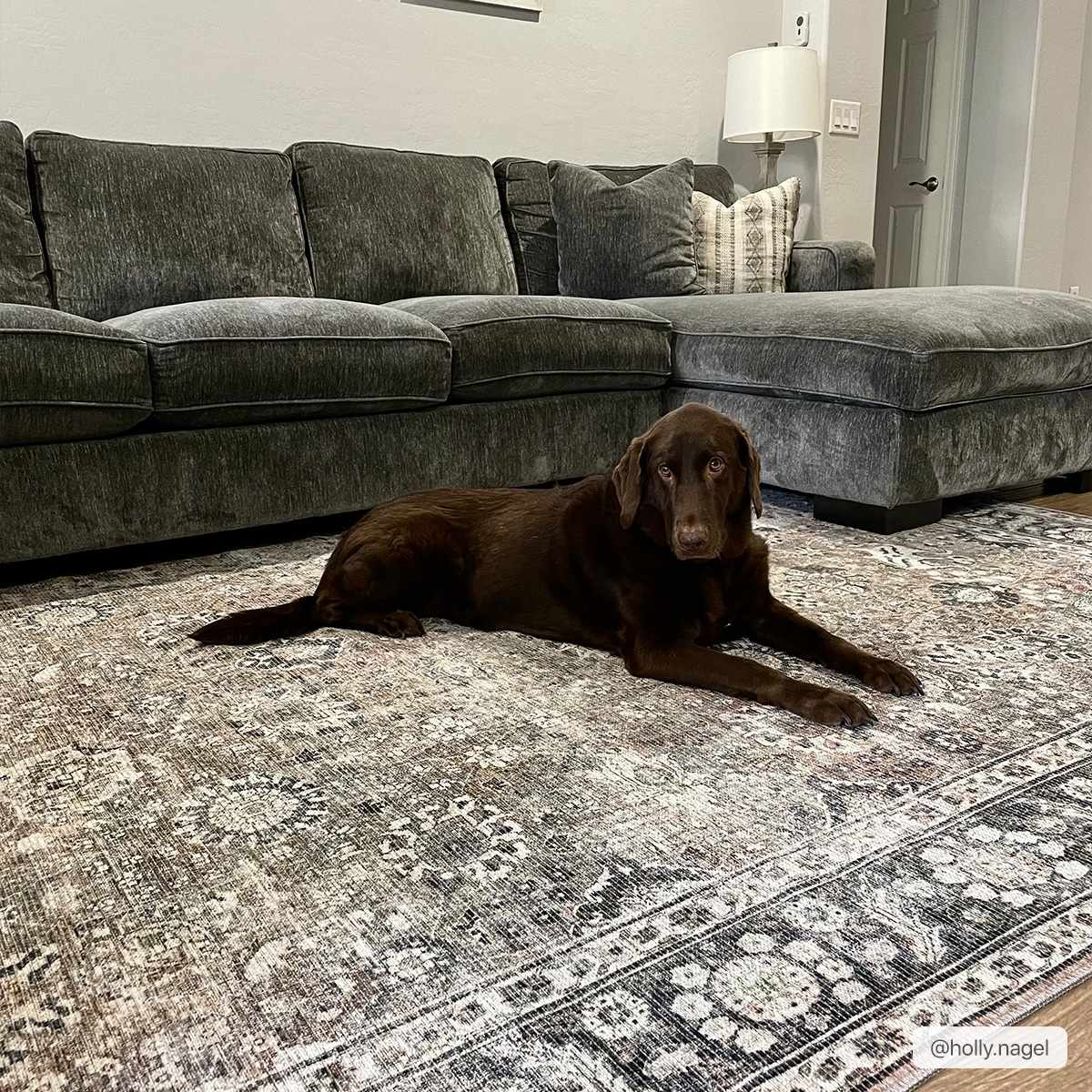 Ganyangan Washable Rug-4