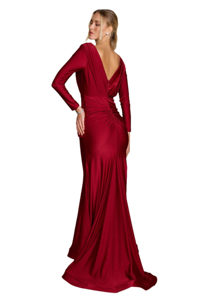 Dylan and Davids Full-Length Sleeve Fitted Formal Gown Evening Dress-2