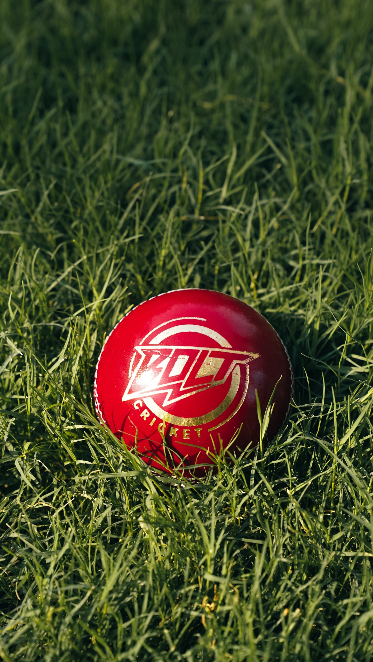 Bolt Enduro Leather Ball - Machine Stitched - 6 Pack