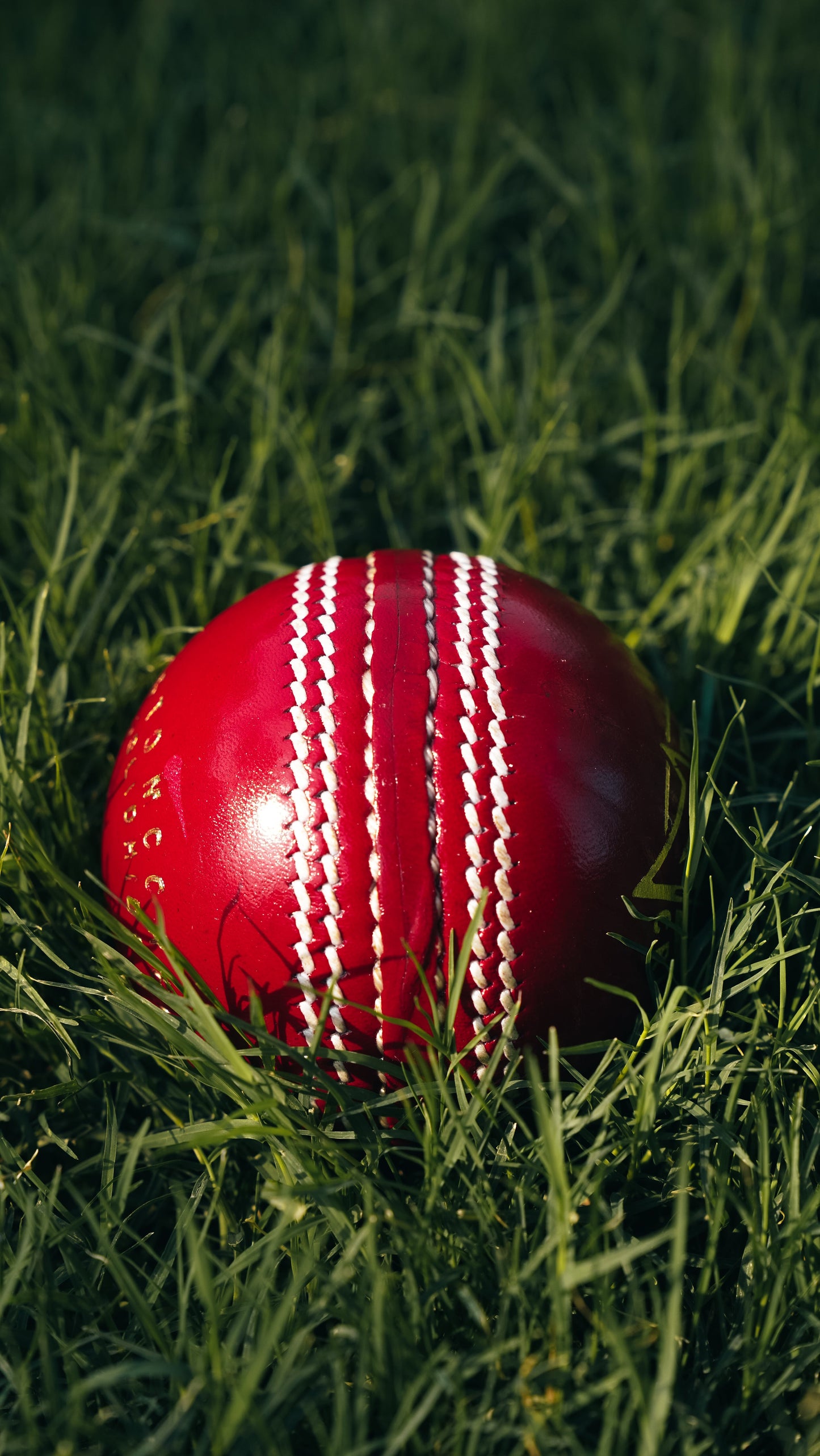 Bolt Striker Leather Ball - Hand Stitched - 6 Pack