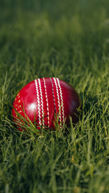 Bolt Enduro Leather Ball - Machine Stitched - 6 Pack