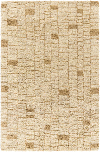 Anusha Area Rug