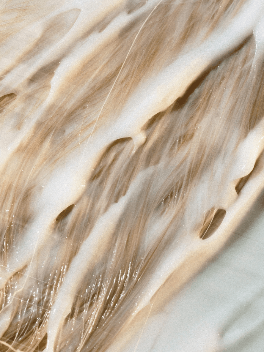 Eco Hydrating Conditioner for Dry Ends | BYMANYC ® New York-1