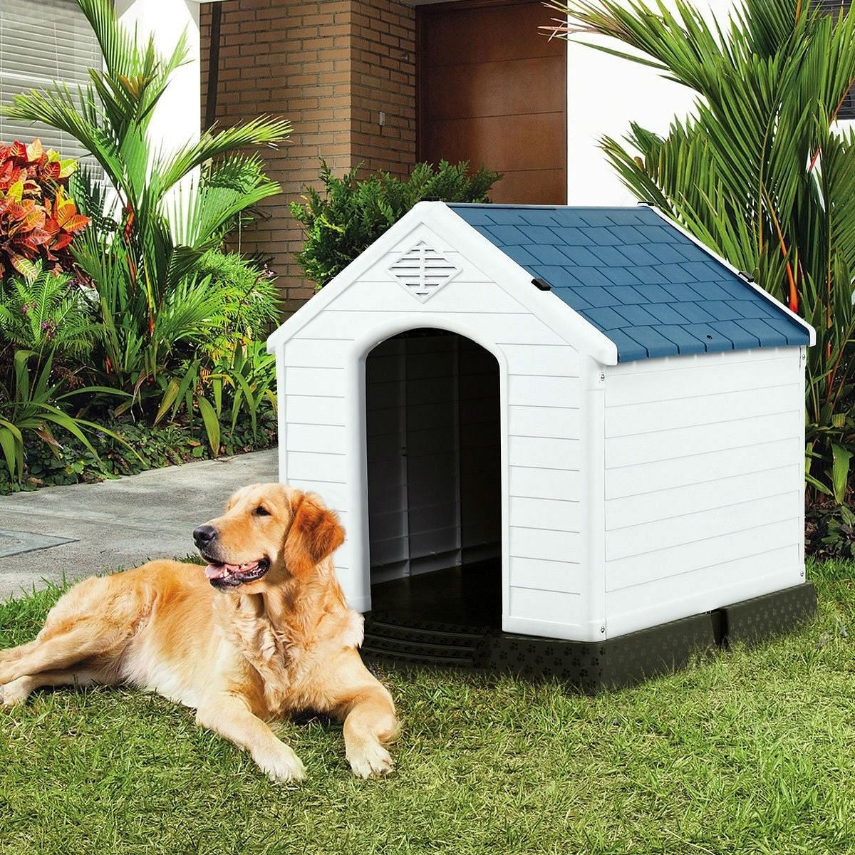 Medium size Dog House Outdoor White Blue Plastic with Elevated Floor-2