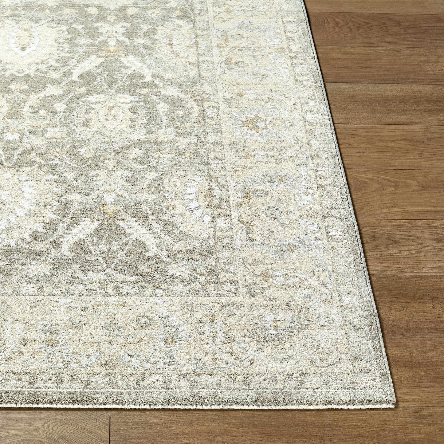 Airlia Area Rug