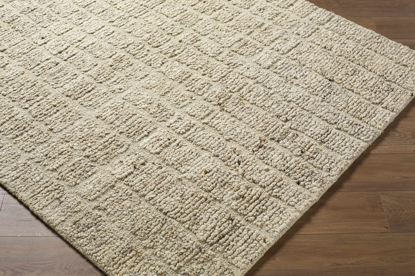 Asahel Area Rug