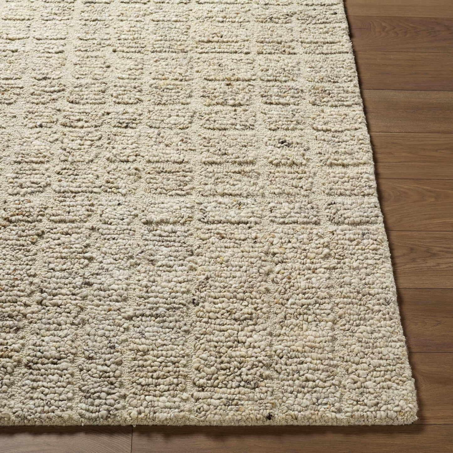 Asahel Area Rug