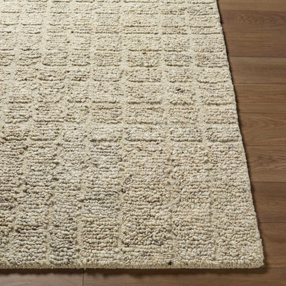 Asahel Area Rug
